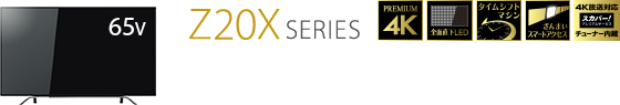 Z20X SERIES