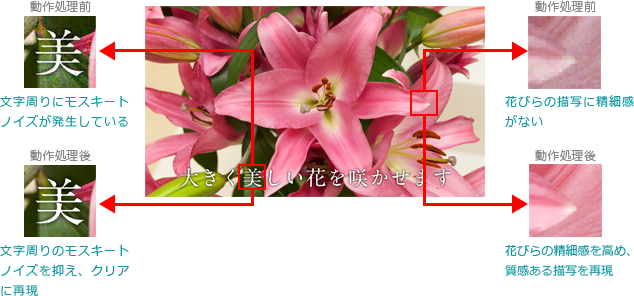 「マスターリファイン」 : イメージ
