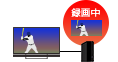 手軽に録画を楽しみたい！