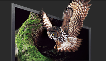 写真：CELLレグザ3D高画質化システム