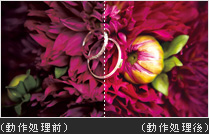 “x.v.Color”イメージ