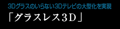 3Dグラスのいらない3Dテレビの大型化を実現「グラスレス3D」