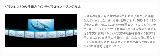 グラスレス3Dの仕組み イメージ