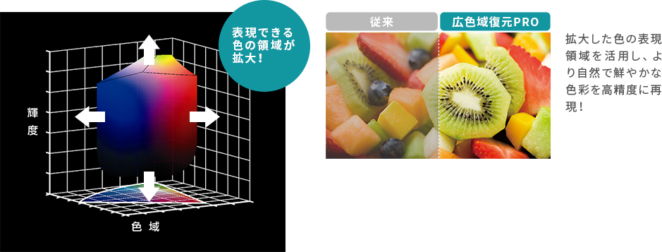 「広色域復元PRO」 イメージ
