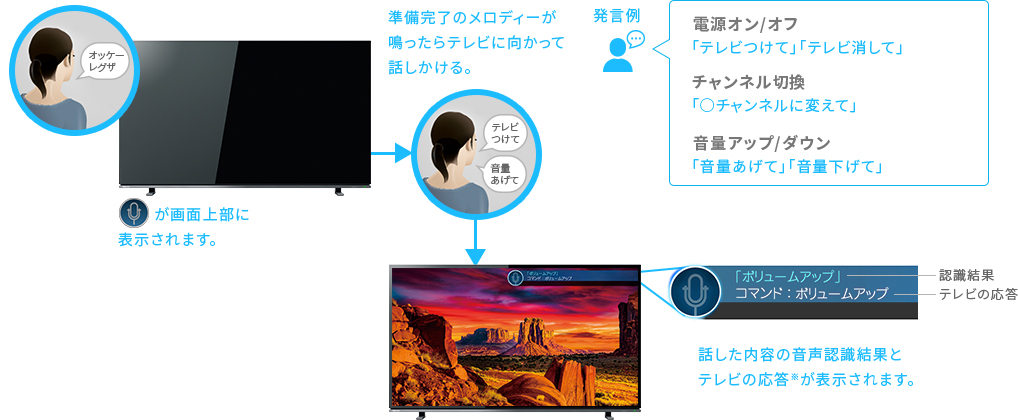[ハンズフリーレグザボイス]（本体マイク） イメージ