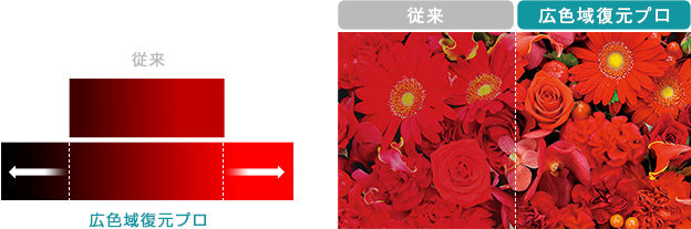 「輝度の向上によって液晶の色彩表現力向上!」 イメージ