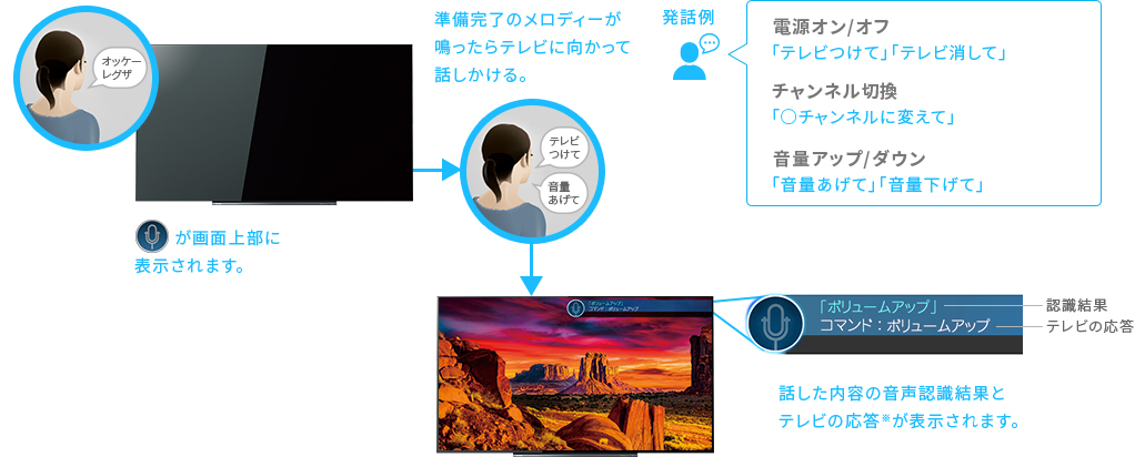 [レグザボイス]（本体マイク） イメージ