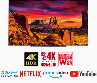 「X930 SERIES タイムシフトマシン4K有機ELレグザ」 イメージ