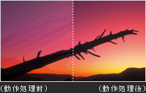 バス幅14ビット精度高画質化処理比較イメージ