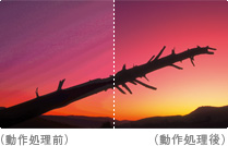 バス幅14ビット精度高画質化処理比較イメージ
