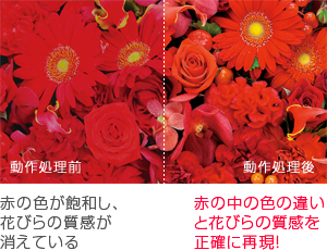 「赤の再現性」イメージ