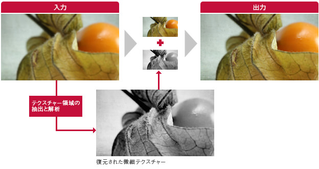「微細テクスチャー復元」イメージ
