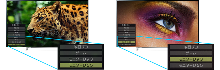 「「モニター（D93/D65）」モード」イメージ