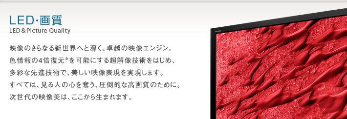 LED・画質 LED & Picture Quality -- 映像のさらなる新世界へと導く、卓越の映像エンジン。色情報の4倍復元*を可能にする超解像技術をはじめ、多彩な先進技術で、美しい映像表現を実現します。すべては、見る人の心を奪う、圧倒的な高画質のために。次世代の映像美は、ここから生まれます。