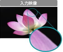 「入力画像」 イメージ