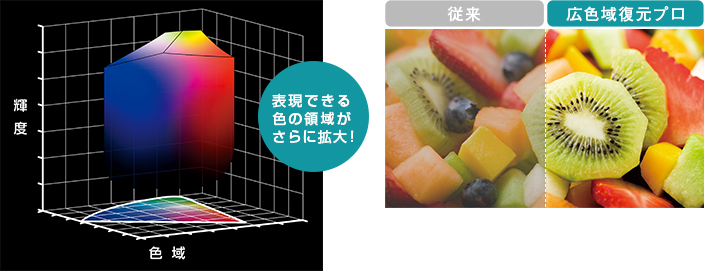 「広色域復元プロ」 : イメージ