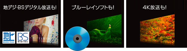 「4K放送はもちろん、地上デジタル放送やブルーレイソフトまで4Kの美しさに！」 : イメージ