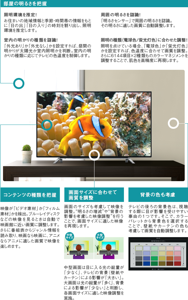 「おまかせオートピクチャー」 : イメージ