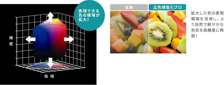 「広色域復元プロ」 イメージ