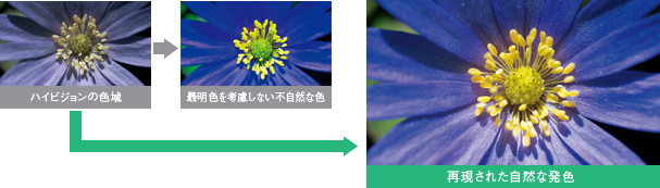 「広色域復元」 イメージ
