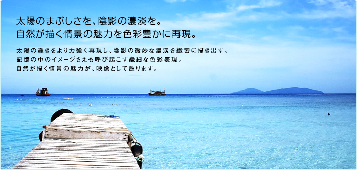 太陽のまぶしさを、陰影の濃淡を。自然が描く情景の魅力を色彩豊かに再現。太陽の輝きをより力強く再現し、陰影の微妙な濃淡を緻密に描き出す。記憶の中のイメージさえも呼び起こす繊細な色彩表現。自然が描く情景の魅力が、映像として甦ります。