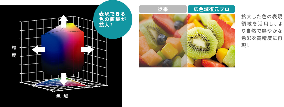 「広色域復元プロ」 イメージ