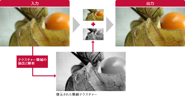 「微細テクスチャー復元のプロセス」イメージ