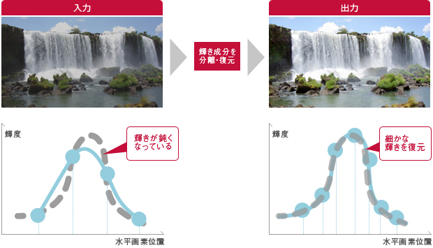 「輝き復元のプロセス」イメージ