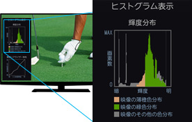 映像の中の緑色部分の輝度領域を抽出
