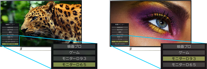 「「モニター(D93/D65)」モード」イメージ