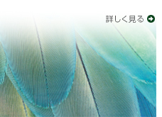 「3D超解像技術採用 -レゾリューションプラス5-」の機能を詳しく見る