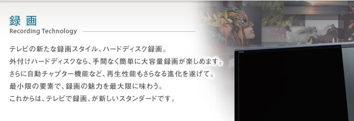 録画 Recording Technology -- テレビの新たな録画スタイル、ハードディスク録画。外付けハードディスクなら、手間なく簡単に大容量録画が楽しめます。さらに自動チャプター機能など、再生性能もさらなる進化を遂げて。最小限の要素で、録画の魅力を最大限に味わう。これからは、テレビで録画、が新しいスタンダードです。
