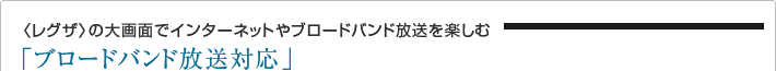〈レグザ〉の大画面でインターネットやブロードバンド放送を楽しむ「ブロードバンド放送対応」