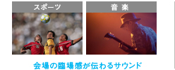 会場の臨場感が伝わるサウンド イメージ