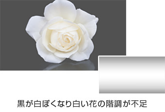黒が白ぽくなり白い花の階調が不足