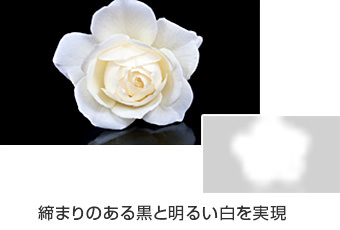 締まりのある黒と明るい白を実現