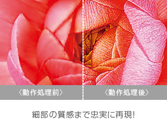 細部の質感まで忠実に再現！