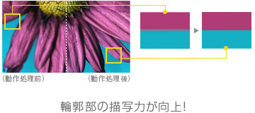 輪郭部の描写力が向上！