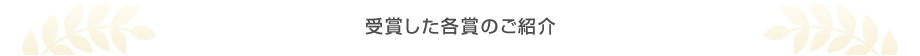 受賞した各賞のご紹介