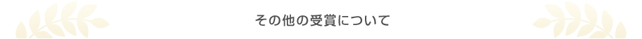 その他の受賞について