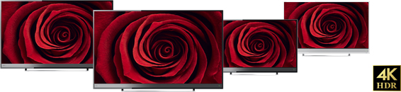 4K液晶レグザ「M510Xシリーズ」