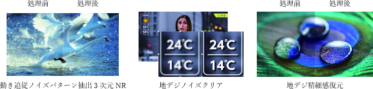 地デジビューティX