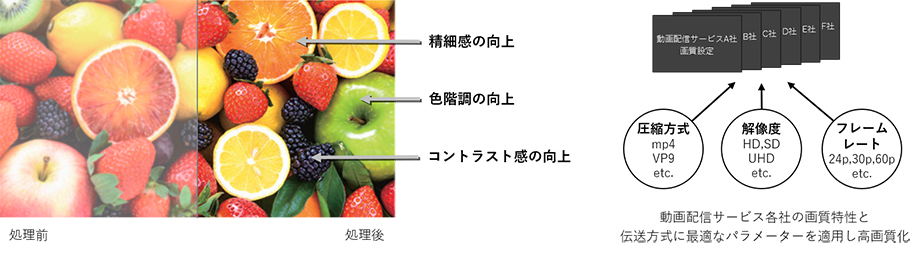 ネット動画ビューティ