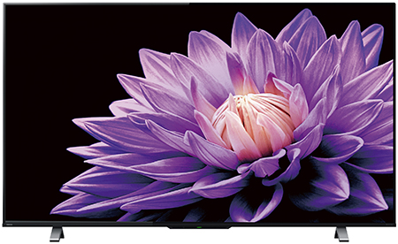 4K液晶レグザ「75M540X」