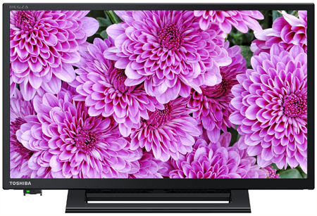 ハイビジョン液晶レグザ 「19S24」